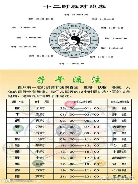 天干地支 時間|天支地支 十二时辰对照表